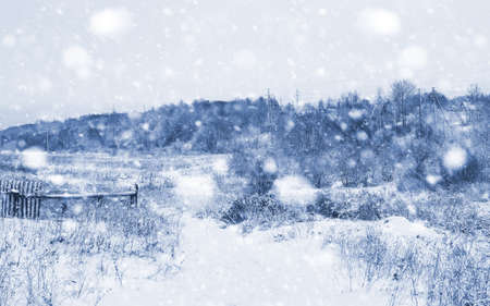 Landscape in the winter cloudy day of snow-covered fields and forestsの写真素材