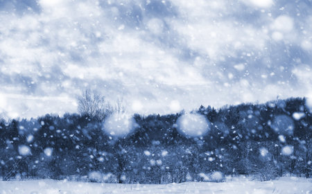 Landscape in the winter cloudy day of snow-covered fields and forestsの写真素材