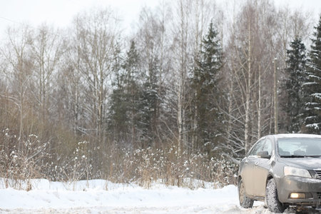 The car is gray on the road in forest.の写真素材