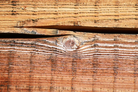 Texture of a old wooden beam of birch