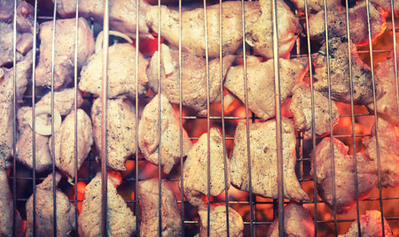 Slices of chopped meat in grate for cooking barbecue on charcoal in the oven. Meat on the grill....