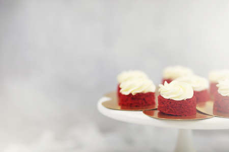 Beautiful festive cake biscuit with different creams and decoratedの写真素材