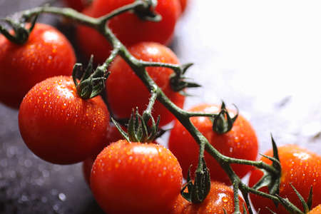Branch with fresh cherry tomatoes. Ripe red tomatoes. Tomatoes aの写真素材