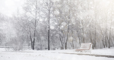 Snow-covered winter park and benches. Park and pier for feeding