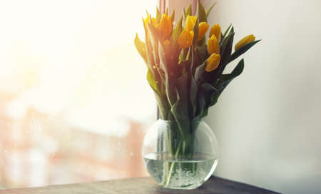 A bouquet of red tulips in a vase on the windowsill. A gift for a woman's day from red tulip flowers. Beautiful red flowers in a vase by the window.の写真素材