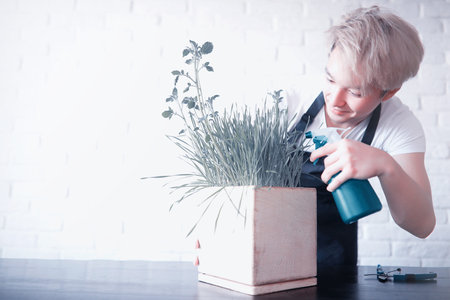 Young Asian boy takes care of plantsの写真素材