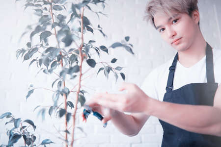 Young Asian boy takes care of plantsの写真素材
