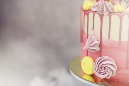 Beautiful festive cake biscuit with different creams