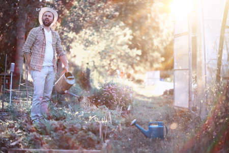 Man farmer watering a vegetable gardenの写真素材