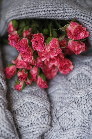 Bouquet of red roses on a textile sweater