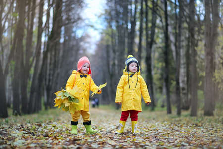 Children are walking in the autumn parkの写真素材