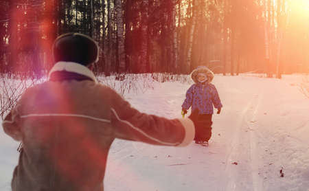 Winter park under the snow. January morning walk through the forestの写真素材