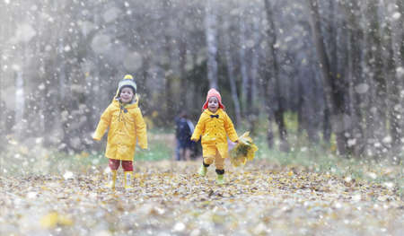 Toddlers on a walk in the autumn park. First frost and the firstの写真素材