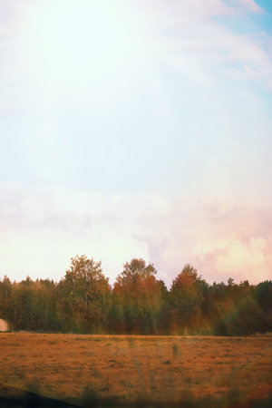 End of summer warm season in the park