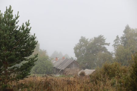 End of summer warm season in the parkの写真素材