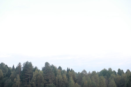End of summer warm season in the park