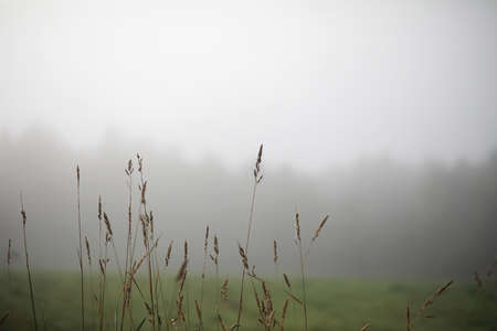 End of summer warm season in the parkの写真素材