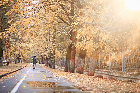 Autumn rain in the park during the day