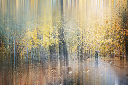 Background autumn rain in the park during the day