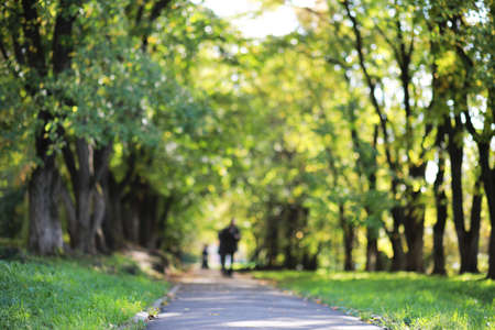 End of summer warm season in the parkの写真素材