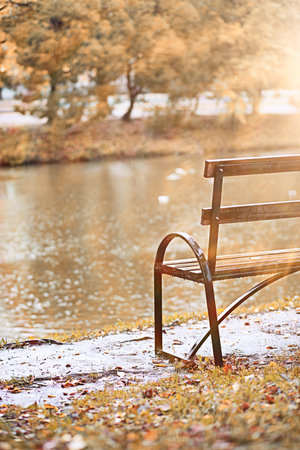Autumn rain in the park during the day