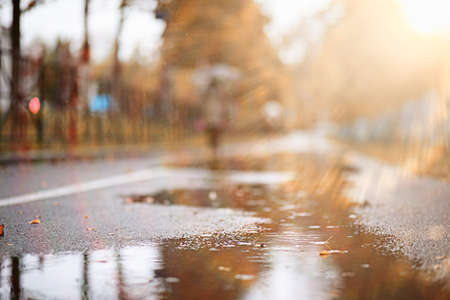 Autumn rain in the park during the dayの写真素材