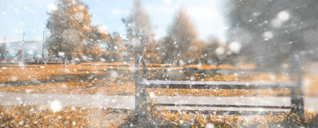 Background autumn park in the days of the first snow