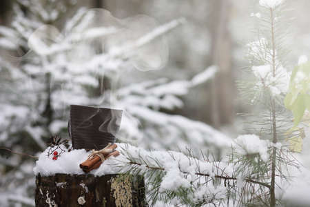 A cup with a hot drink in the winter forest. Hot cocoa with cinnamon on the background of winter forest. First snow and hot chocolate.の写真素材