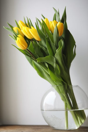 A bouquet of yellow tulips in a vase on the windowsill. A gift to a woman's day from yellow tulip...