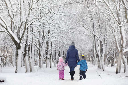 Snow-covered winter park and benches. Park and pier for feedingの写真素材