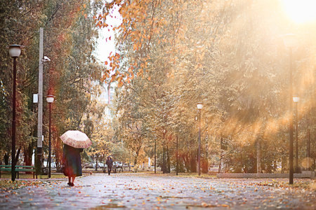Autumn rain in the parkの写真素材