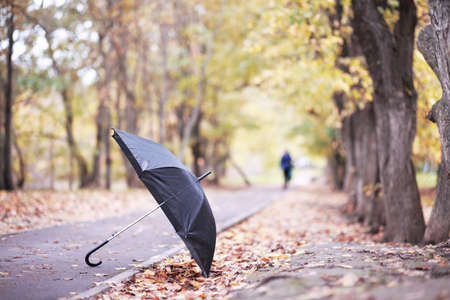 Autumn rainy park in October afternoonの写真素材