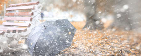 Background autumn park in the days of the first snowの写真素材