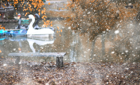 Autumn park in the days of the first snow.の写真素材