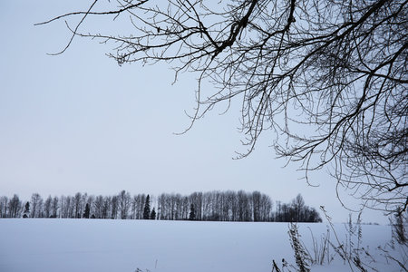 Winter landscape of country fields and roads in the snowの写真素材