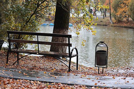 Autumn rain in the park during the day.の写真素材