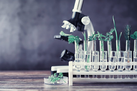 Microscope and partings on the table in the laboratory. Study on GMOs in greens.の写真素材