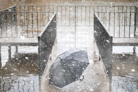 Autumn park in the days of the first snow.の写真素材