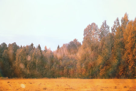 End of summer warm season in the park.の写真素材