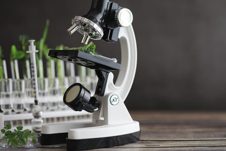 Microscope and partings on the table in the laboratory. Study on GMOs in greens.
