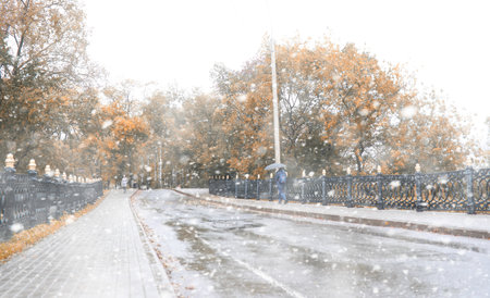 Autumn park in the days of the first snowの写真素材