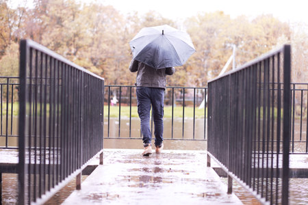 Autumn rainy park in October afternoonの写真素材