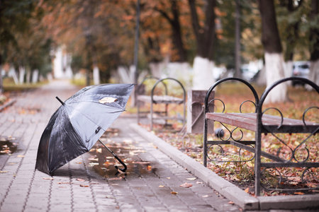 Autumn rainy park in October afternoonの写真素材
