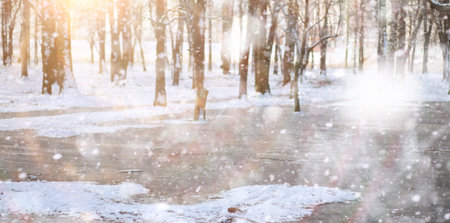 Winter Park. Landscape in snowy weather. January day.の写真素材