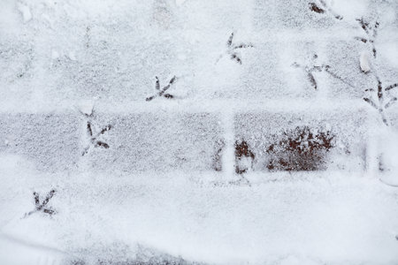 Winter landscape of country fields and roads in the snowの写真素材