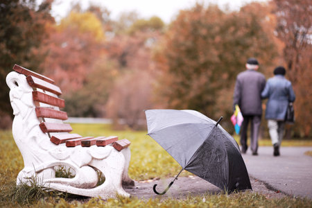 Autumn rainy park in October afternoonの写真素材