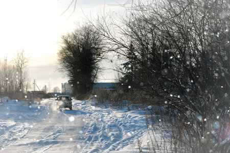 lanscape alley tree winterの写真素材