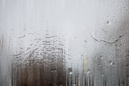 Background autumn rain in the park during the dayの写真素材