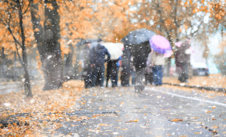 Autumn park in the days of the first snow
