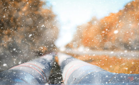 Autumn park in the days of the first snowの写真素材